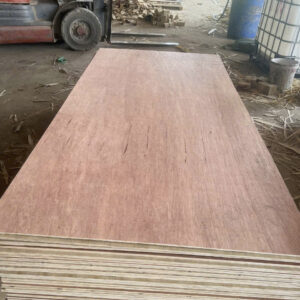 Ván ép Bao Bì AA, AB ( Bintagor, Okume)